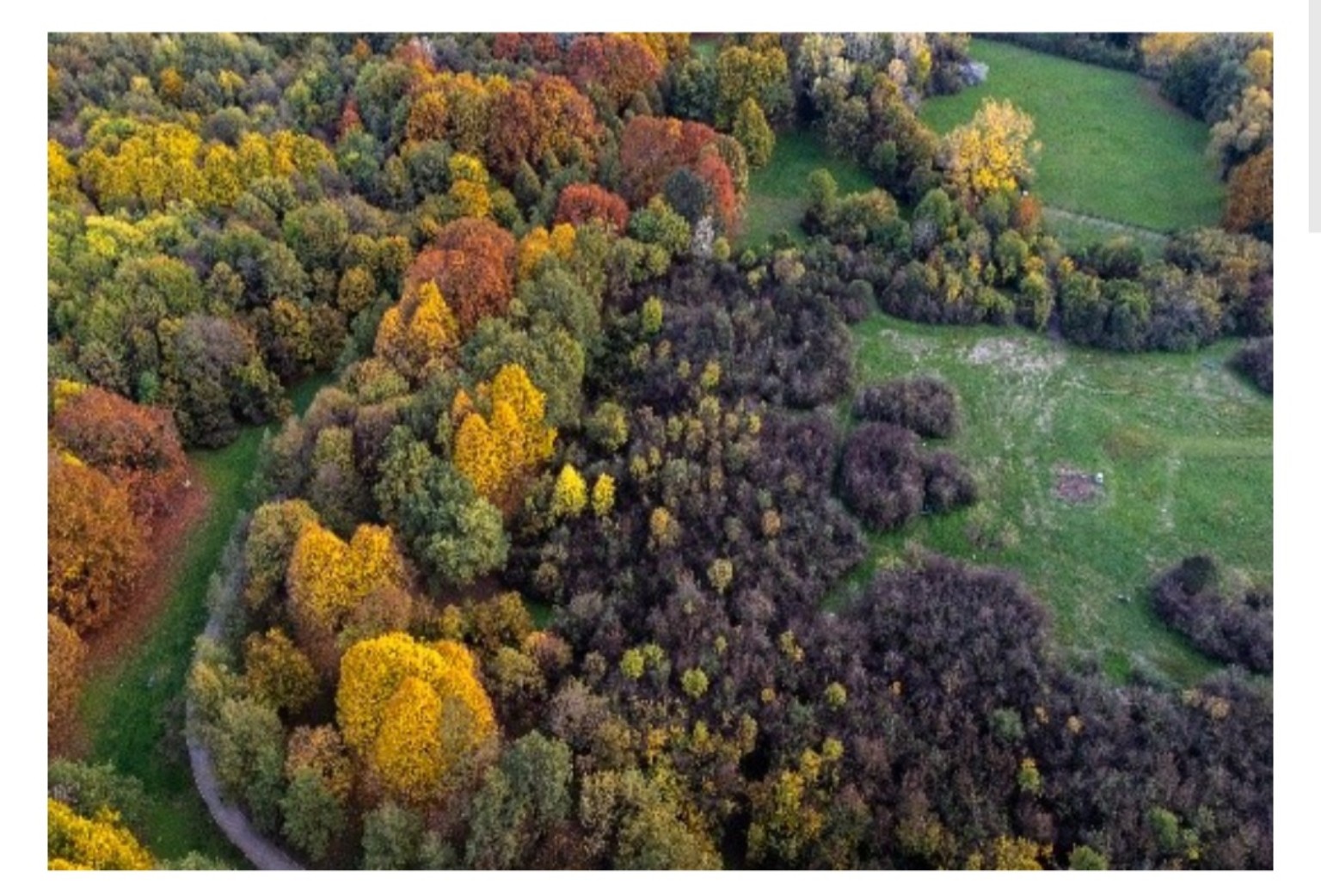 Il bosco, i colori delle stagioni