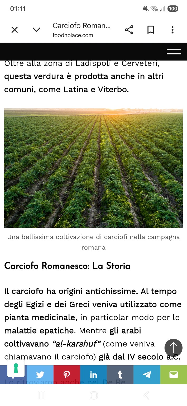 La carciofaia