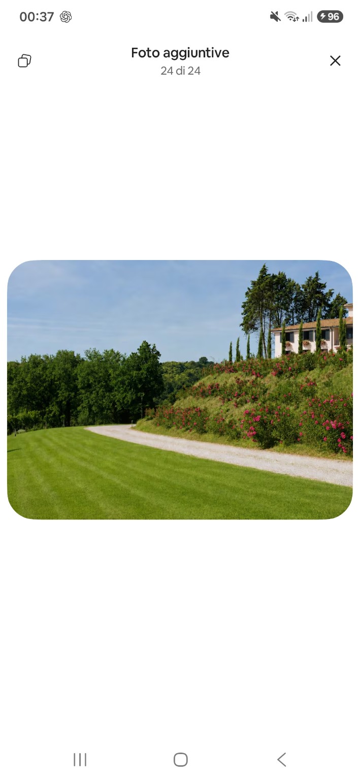Il viale della Tenuta tra prati, alberi e la collina fiorita
